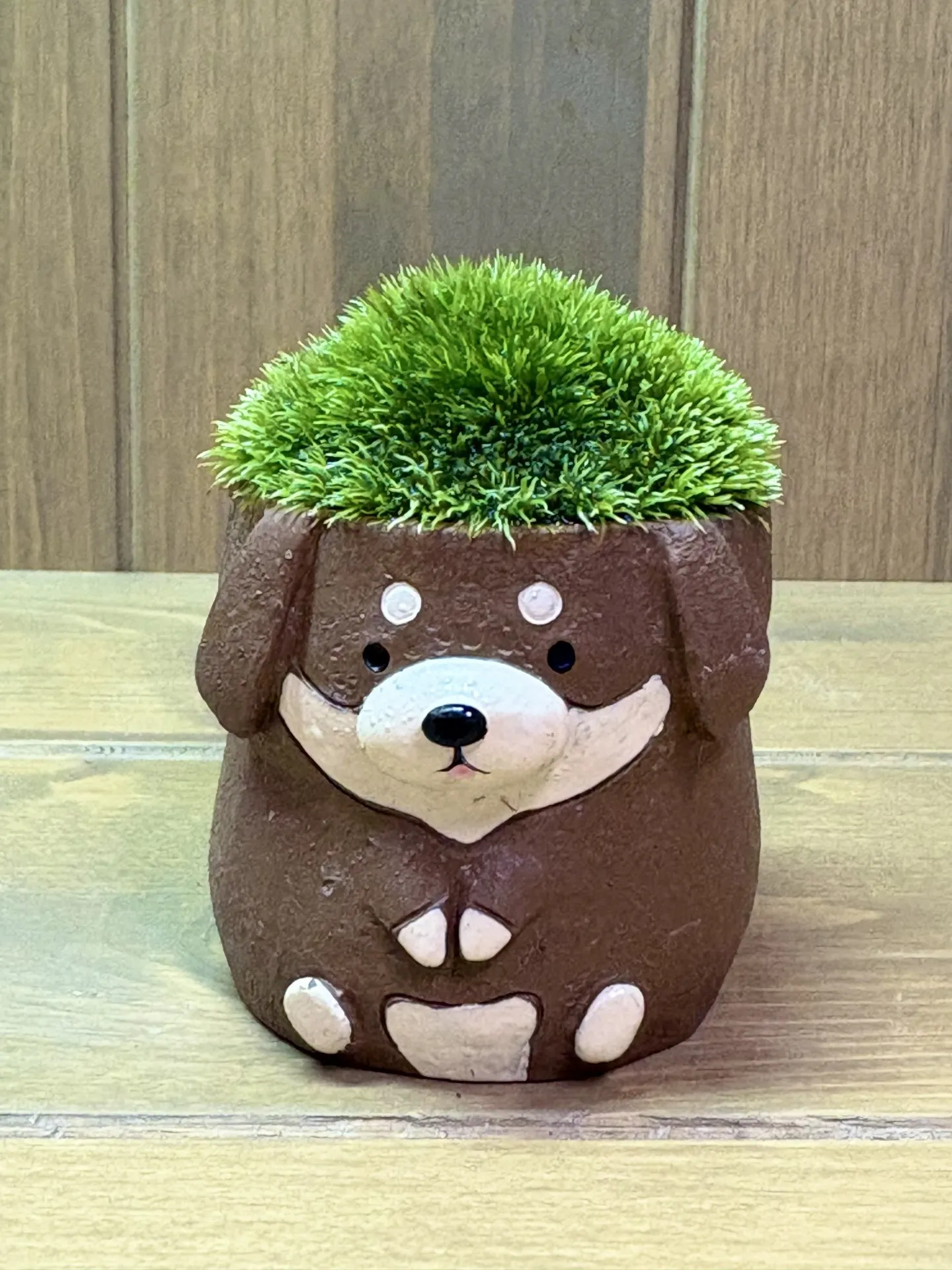 動物コケ